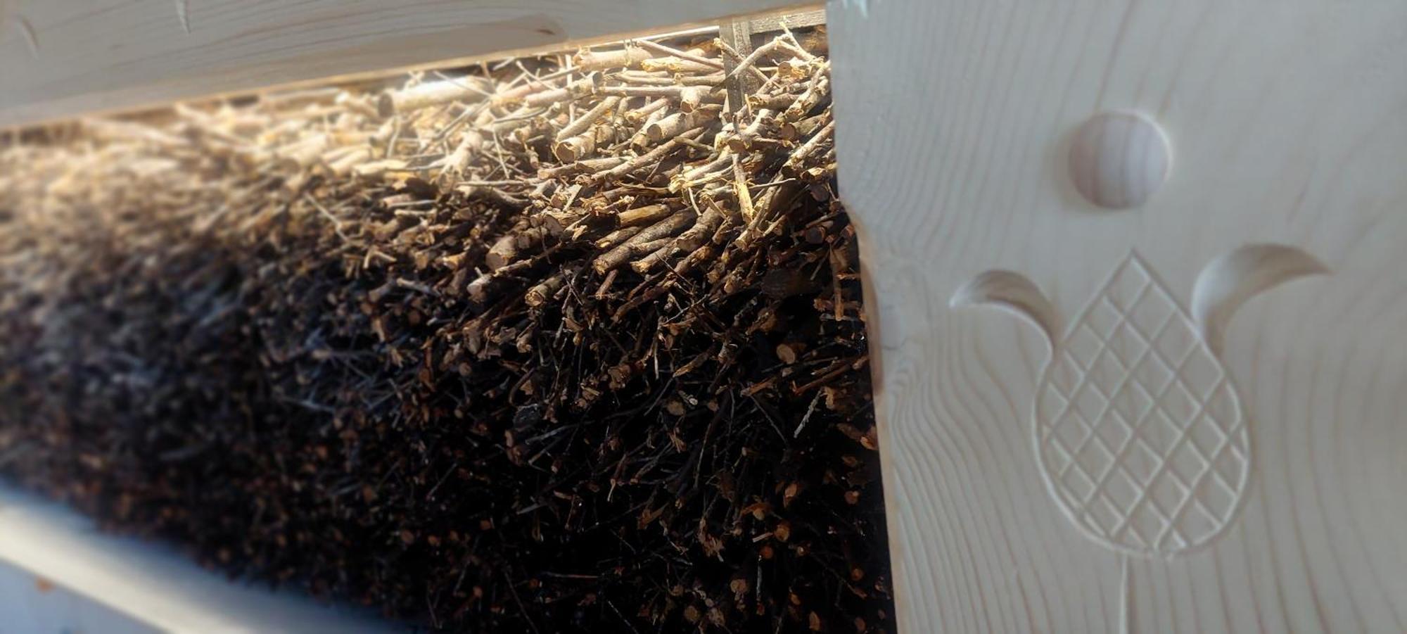 Apartamenty I Pokoje Pod Limbami - Sauna, Teznia Bukowina Tatrzańska Eksteriør bilde